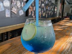 -柴犬高等学院·狗咖·柴犬售卖·宠物训练