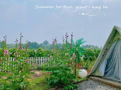 -安德鲁户外烧烤帐篷营地(马泉营店)