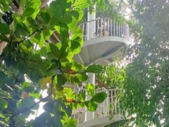 -郑州植物园