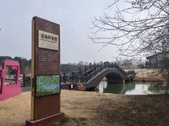 -南湖湿地公园