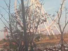 -祥源·阜阳生态乐园