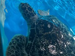 -泉城欧乐堡海洋极地世界