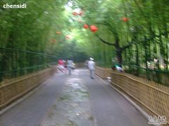 -紫竹院公园冰场