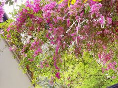 -深圳国际园林花卉博览园