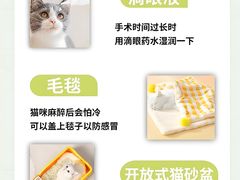 -博特宠物医院24h犬猫全科.骨科·异宠