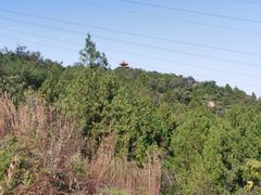 -白水寺森林公园