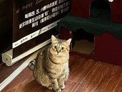 -H立方实景剧情密室(天河旗舰店)