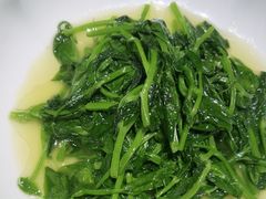 -羊门客在·烤盐池滩羊·川菜