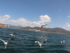 -丽江泸沽湖景区