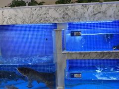 -香山湖渔家大院