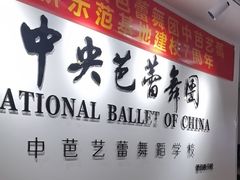 -中央芭蕾舞团·中芭艺蕾(酒仙桥明星校区)