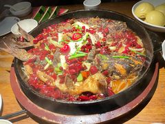 -老板恋上鱼(高新万达店)