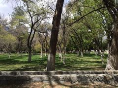 iphone_upload_pic-罗布林卡
