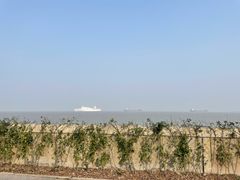 -上海滨江森林公园