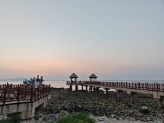 -养马岛旅游度假区