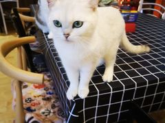 -万小咖.猫咖(中山路天虹店)
