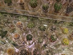 -KKV(深圳宏发大仟里店)