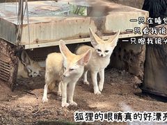 -灵玲国际马戏城