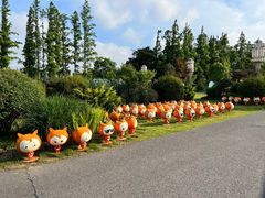 -上海长兴岛郊野公园