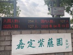 -嘉定紫藤园