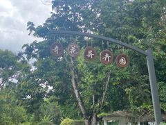 -中国科学院西双版纳热带植物园