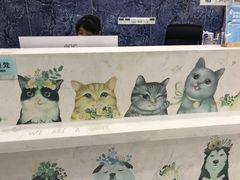 -瑞派名望24h动物医院异宠专科·猫专科·骨科·重症监护分院