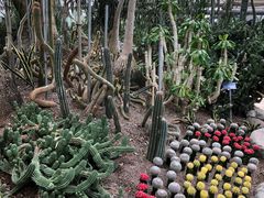 -南山植物园