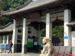 -团结湖公园