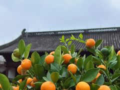 -钱王祠