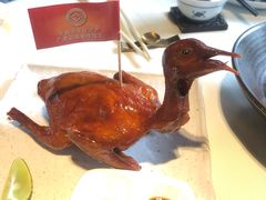 -侨美·唐荔园·40年地道粤菜