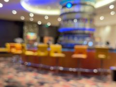 -上海大宁福朋喜来登酒店大堂吧(共和新路店)