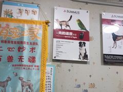 -邦泰·异宠动物医院