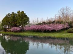 -石湖景区
