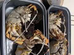 -黄记大闸蟹专卖店·活蟹·醉蟹