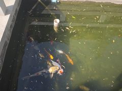 -济南国际园博园