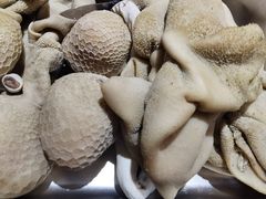 -玛拉沁艾力手把肉蒙餐