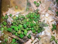 -探鱼·鲜青椒爽麻烤鱼(广州欣荣广场店)