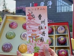 -曹州牡丹园
