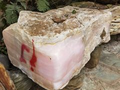 -云南勐巴娜西珍奇园