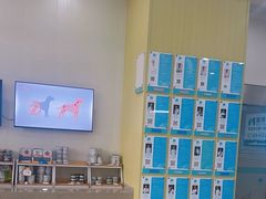 -谐和贝康宠物医院24小时·宠保定点(急重症转诊中心)