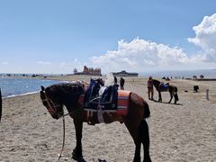 -青海湖国家重点风景名胜区