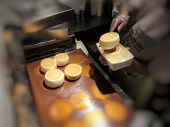 -狐狸和向日葵(北京路店)