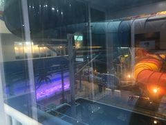 -青岛东方影都融创水世界