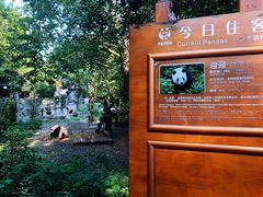 -成都大熊猫繁育研究基地