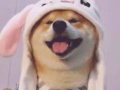 -长勺子东南亚(街道口店)