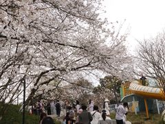 -杭州少年儿童公园