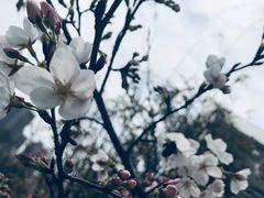 -堤角公园