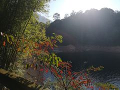 -广州市流溪河国家森林公园