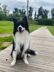 -Oasis Beauty水磨坊科技美肤中心