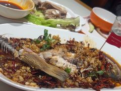 -杨氏青龙虾·羊蝎子(托乐嘉店)